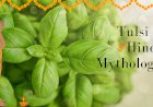 The Divine Connection: Exploring the Role of Tulsi in Hindu Mythology and Rituals
