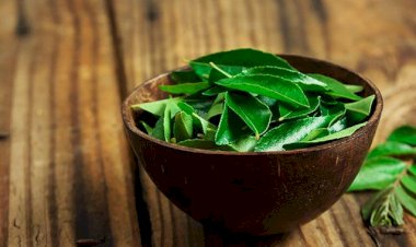 Do Curry Leaves Have Medicinal Properties?