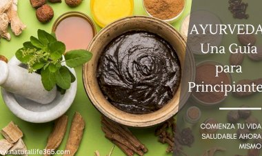 Ayurveda 101: Una Guía para Principiantes Sobre El Sistema de Curación Más Antiguo del Mundo