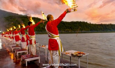 Ganga  Dussehra: Celebrating the Sacred River Ganges