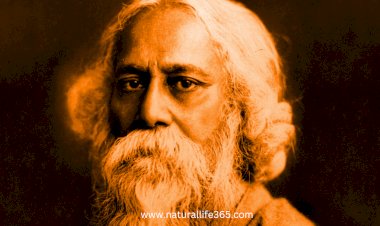 Tagore and the Bengali Renaissance: An Exploration of His Influence on Indian Culture and Beyond