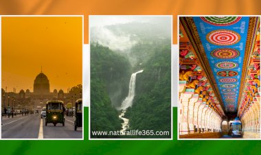 Best 20 Places To Visit In India At Least Once In Your Lifetime