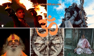 Understanding The Essential Nature of Hinduism