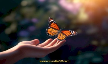 Path to Enlightenment: Exploring Karma and Dharma in Hinduism