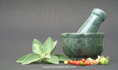 Ayurvedic Remedies for Common Ailments