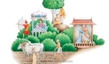 Understanding the Indian Caste System