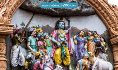 The Significance of Avatars in Hinduism: Why Hindu Gods Take Different Forms