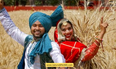 Makar Sankranti and Pongal: Celebrating Harvest Festivals in India