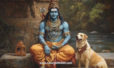 Exploring the Connection Between Dogs and Lord Shiva in Hindu Mythology