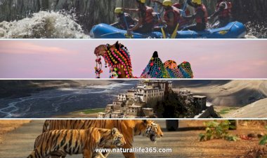 The Best Travel Destinations in India for Nature and Adventure Lovers
