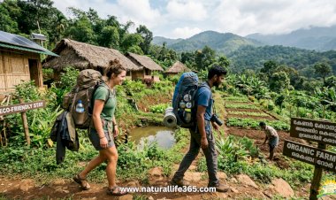 A Beginner's Guide to Sustainable Travel in India: Exploring Eco-Friendly Destinations