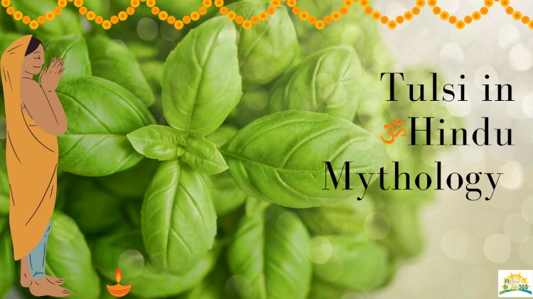 The Divine Connection: Exploring the Role of Tulsi in Hindu Mythology and Rituals