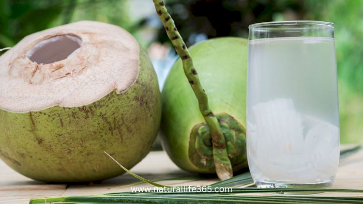 10 Reasons to Add Coconut Water to Your Diet
