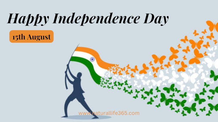 A Tribute to India Independence Day: Reflecting on Courage and Heritage