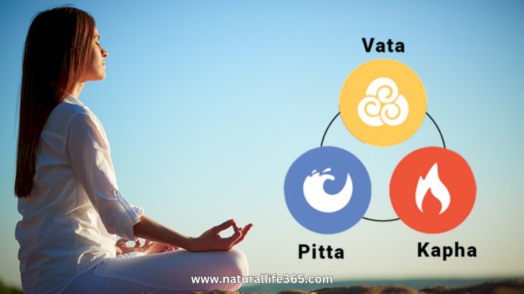 The Principles of Tridosha in Ayurvedic Medicine Explained