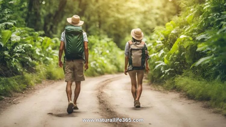 Guía para Principiantes del Turismo Sostenible en India: Explorando Destinos Ecológicos