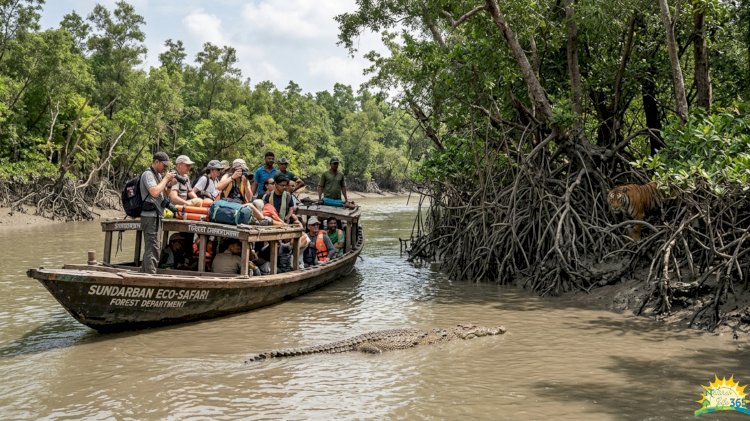 Sundarbans, West Bengal—Where Wildlife Meets Conservation